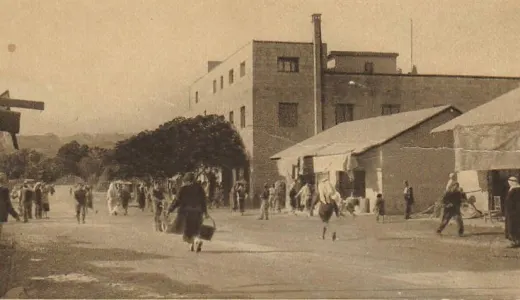 أريحا 1950