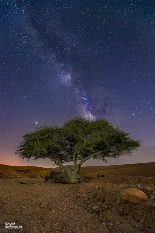 Nayef Hammouri