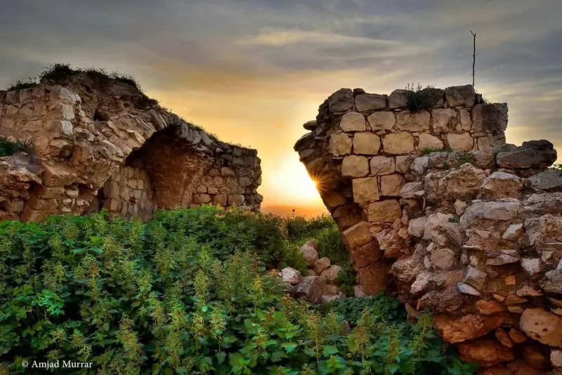 خلفية سطح المكتب 11